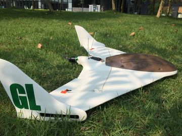 Abejón de ala fija, tiempo de vuelo 90mins para trazar, tareas del tiempo largo, medidas